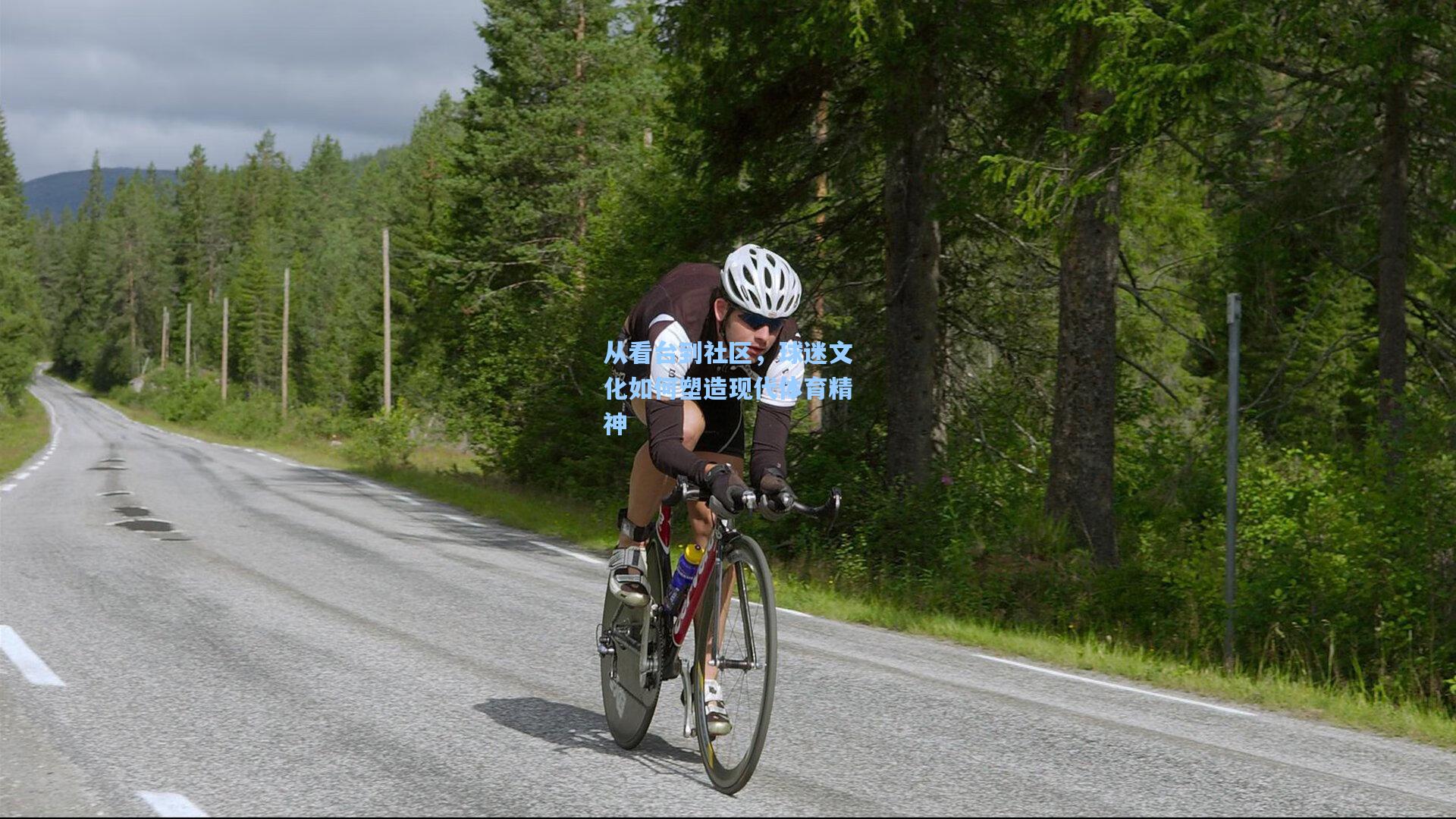 从看台到社区,球迷文化如何塑造现代体育精神