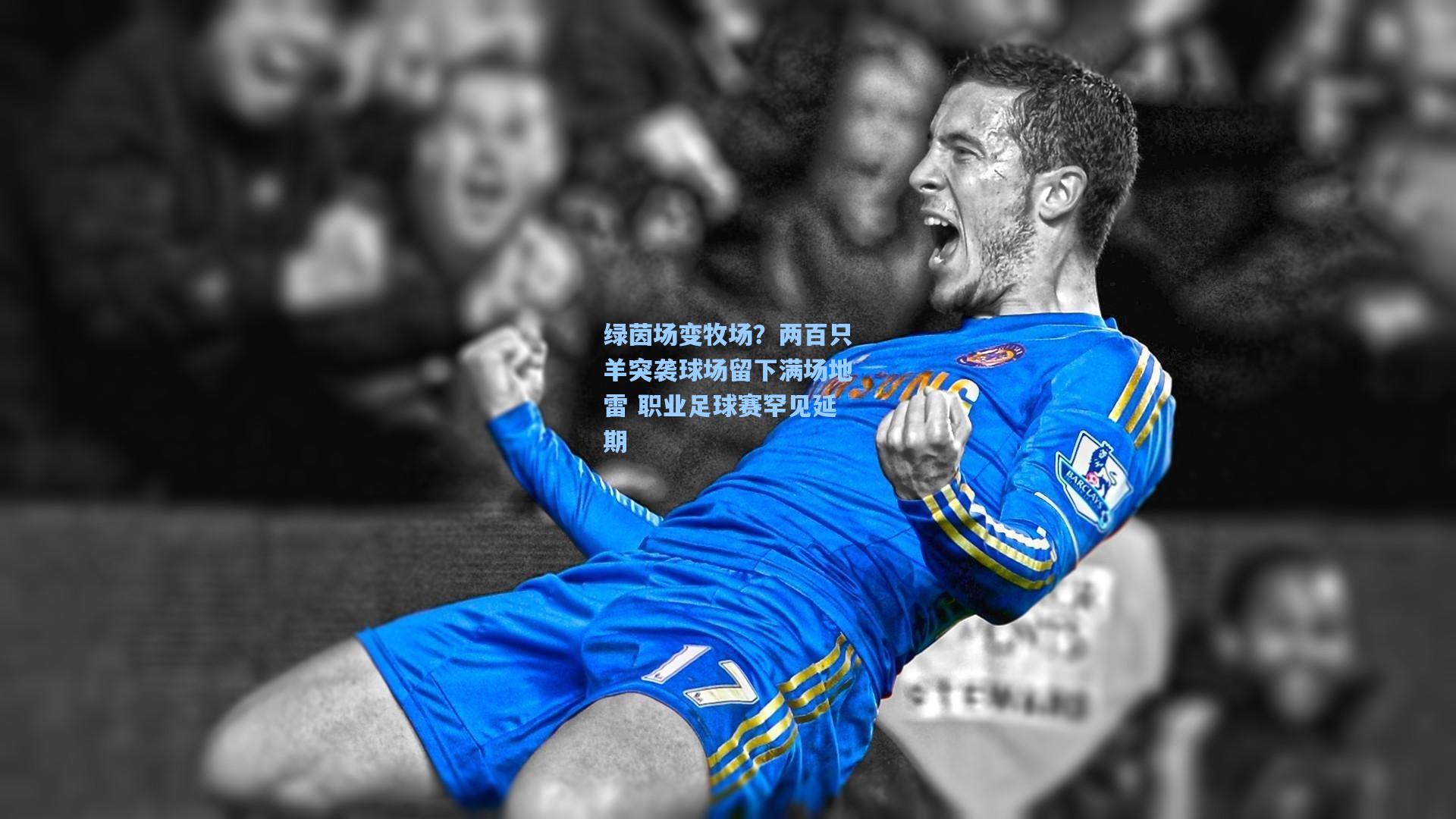 绿茵场变牧场？两百只羊突袭球场留下满场地雷 职业足球赛罕见延期